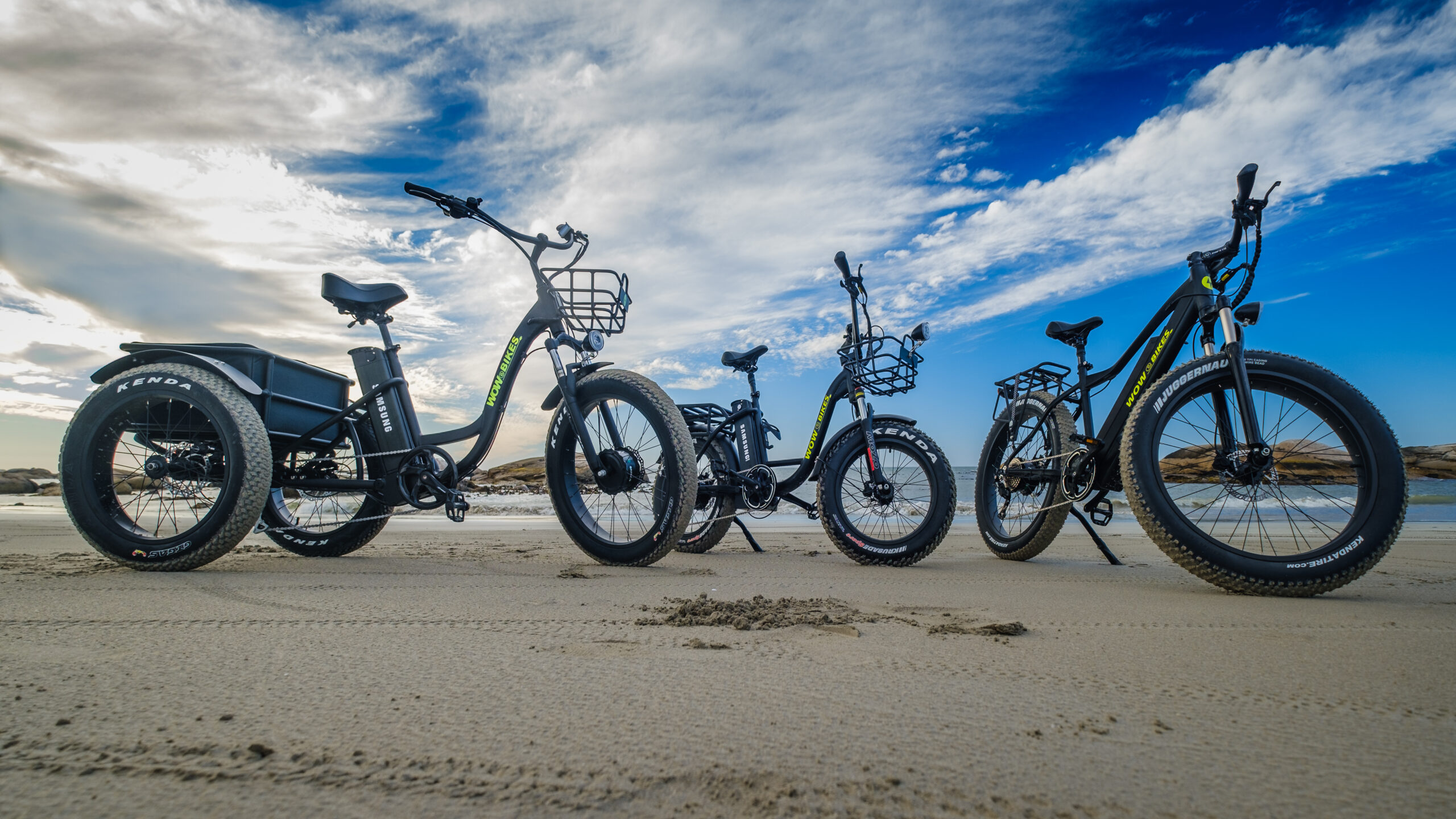 Cape Point E-Bike Tours Unveils Guided Adventures