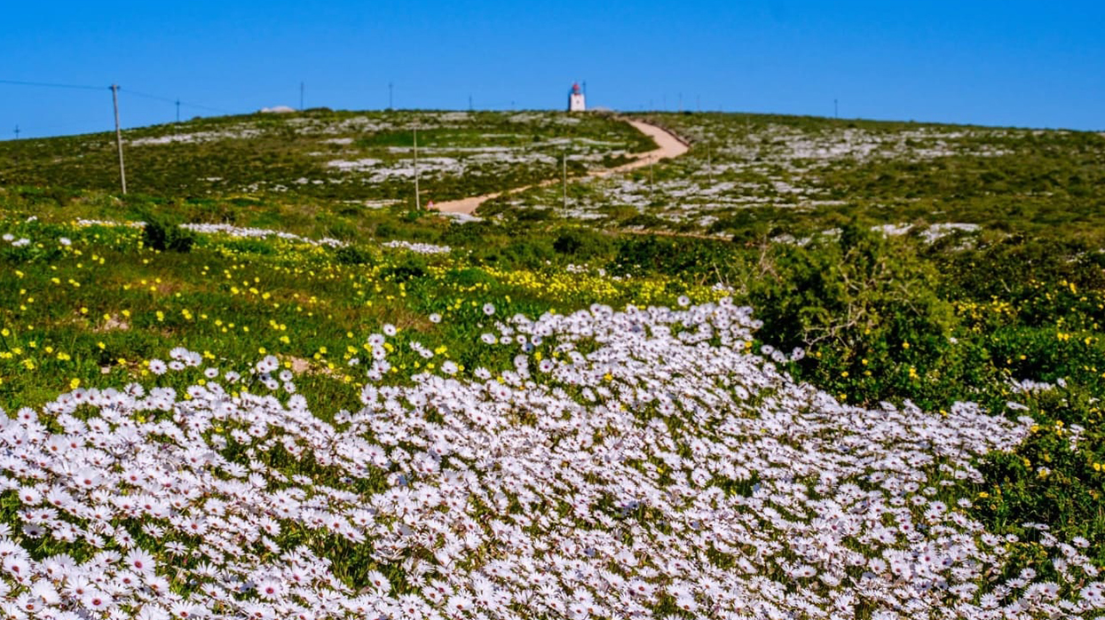 Discovering the hidden gems of the Western Cape: Cape Columbine and Witzands Aquifer nature reserves